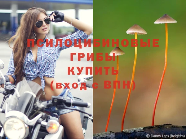 кокаин перу Нязепетровск