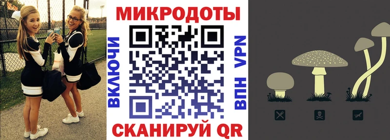 Псилоцибиновые грибы Psilocybe  Купить закладки  Сертолово 